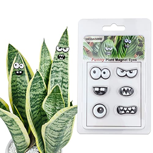 Monster Plant Magnets Eye - Funny Plant Lover Gift with Black-White Variation