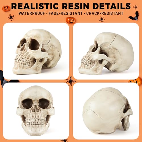 Realistic Resin Skull Decoration for Halloween & Home Decor - Gothic Skeleton Head Statue