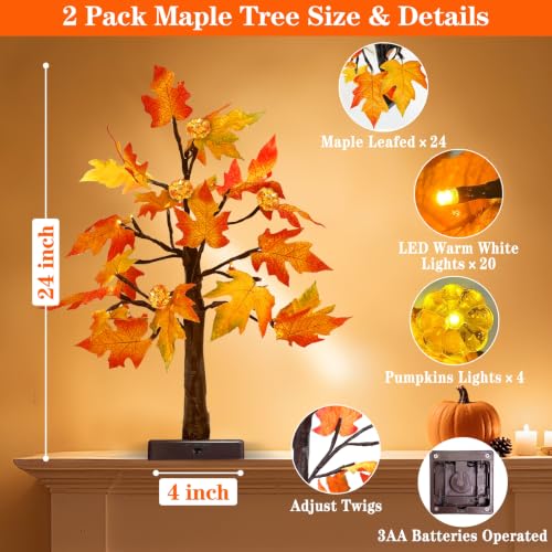 2 Pack Fall Decor 24 Inch Prelit Maple Tree with Pumpkins & LEDs - Timer