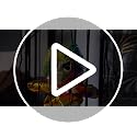 Animated Halloween Prison Cage Prop with Screaming Skull Prisoner - Outdoor Haunted House Decor