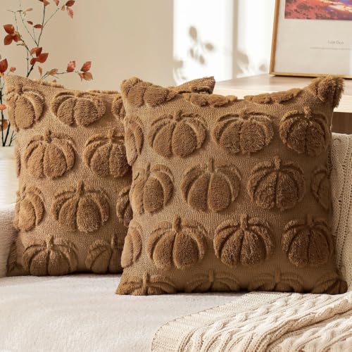 Fall Pumpkin Pillow Covers 18x18 Inch Set of 2 Brown Autumn Decor