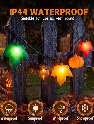 8.5FT Fall Pumpkin Maple Leaf Acorn String Lights - Outdoor Decor, Plug-in, 10 LED