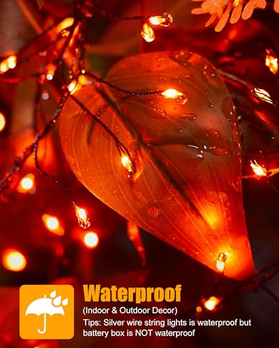 Minetom Fairy String Lights Battery Operated - Orange 5ft 60 LED Twinkle Lights