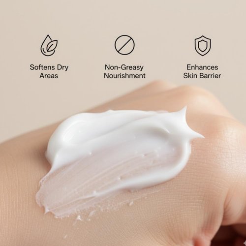 Korean Face Moisturizer with Hyaluronic Acid & Niacinamide – Deep Hydration Anti-Aging Cream for Women – Daily Face Cream for Dry Skin 50ml