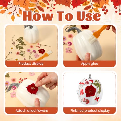 White Artificial Pumpkin Craft Kit with Dried Flowers, 24 Pieces