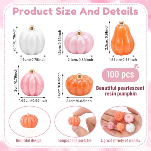 Mini Pink Resin Pumpkins for Crafts & Fall Decor - 100 Pieces, Variation Pink+White+Brown