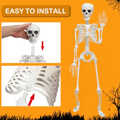Gray 2-Pack Life Size Skeletons with Posable Joints for Halloween Decor - 3 Ft
