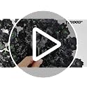 55PCS Mini Fake Black Roses Artificial Flowers for Decor, Crafts & Weddings