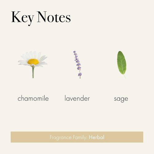 LAFCO New York Liquid Soap - Chamomile Lavender | 12 oz - Regenerates & Moisturizes All Skin Types - Hypoallergenic & Cruelty-Free