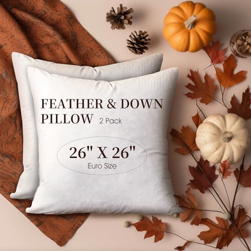 Set of 2 Square Feather Down Decorative Throw Pillows - Halloween & Christmas Customizable Home Decor