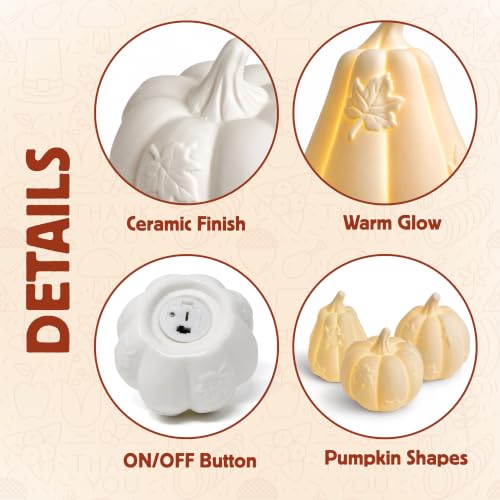 Lighted Ceramic Pumpkin Set of 3 Fall Table Centerpieces - White Halloween Thanksgiving Decor