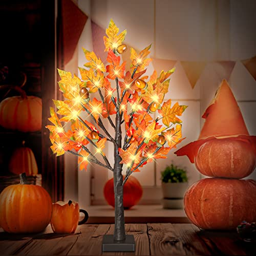 2 Pack 24 Inch Lighted Maple Trees with 36 LEDs & Acorns - Fall Thanksgiving Decor