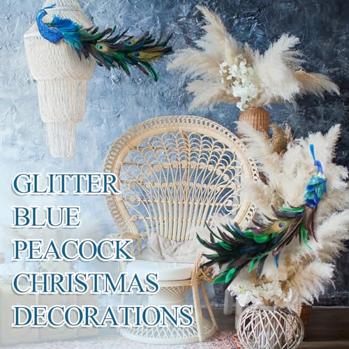Peacock Christmas Tree Ornaments - 2 Pack Glitter Feather Bird Decorations for Xmas Tree & Holiday Decor - Variation 2