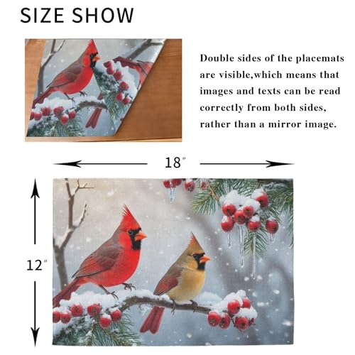 Winter Birds Placemat Set of 6 - Christmas Snow Poinsettia Berry Table Mats - 12x18 Inch, Washable & Fast Dry