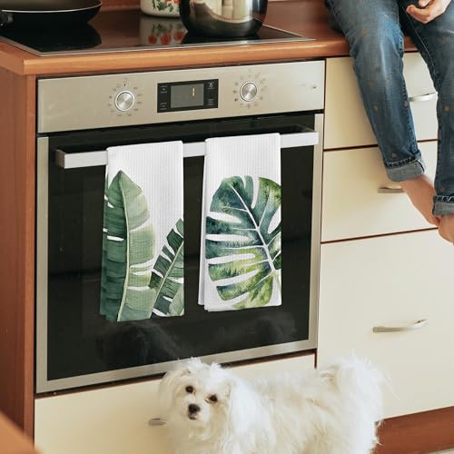 Sage Green Leaf Kitchen & Bathroom Hand Towels Set - Modern Herbs Leaves, 16x24 Inches - Leaf Variation