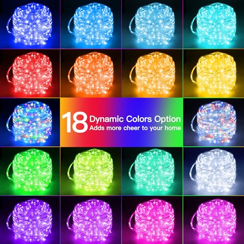 Ollny 33FT Color Changing Rope Lights Outdoor - 100 LED String Lights with 18 Colors & Remote