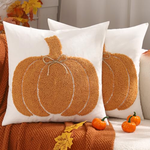 Halloween Pumpkin Throw Pillow Covers 18x18 Set of 2 - Orange Fall Decor