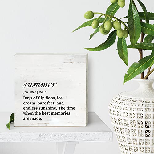 Summer Definition Wood Box Sign - Rustic Home Decor Wall & Tabletop - Summer01