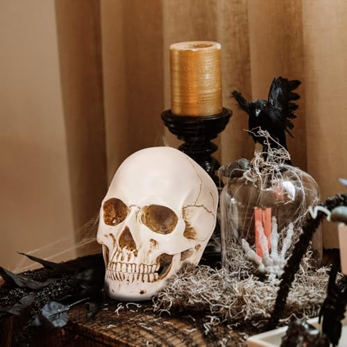 White Resin Skull Sculpture - Life Size Halloween Decor & Artistic Display - Variation of THIS listing