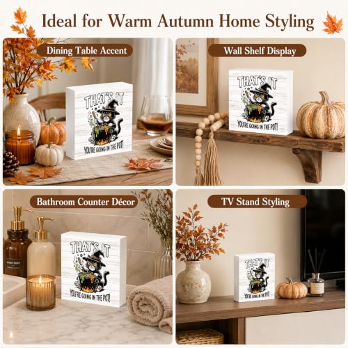 Halloween Witch Cat Sign Indoor Decoration Pot Variation of THIS Listing
