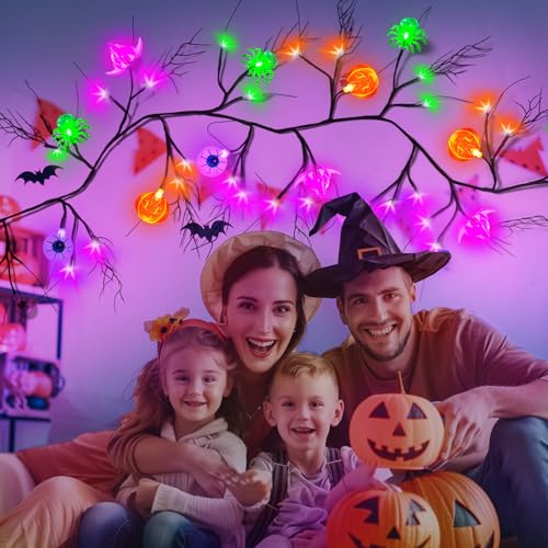 6Ft Halloween LED Willow Twig Garland with Remote Control - Bats, Ghosts, Pumpkins & Eyeballs, 8 Modes Indoor Outdoor Decor
