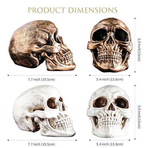 Halloween Skull Statues Set of 2 - Resin Skeleton Heads for Indoor Decor, Gold & White, 7.7 Inch