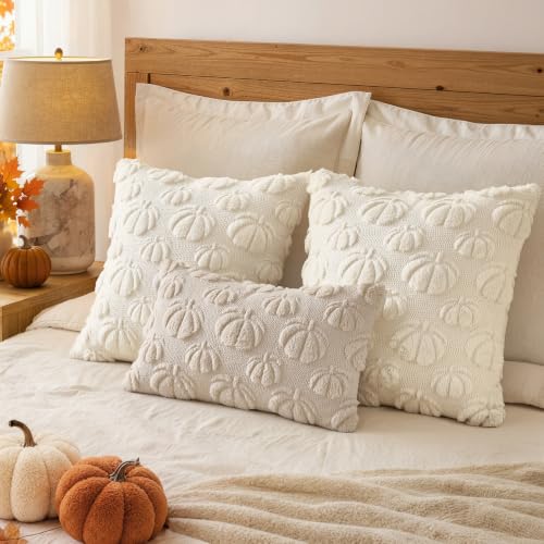 Pumpkin Embroidered Fall Pillow Covers Set of 2 Cream White 24x24 Inches