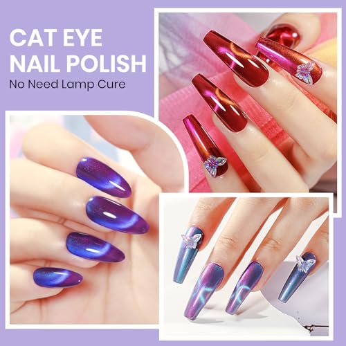 Cat Eye Nail Polish Set - Fruit Variation, Quick Dry Magnetic Nail Lacquer