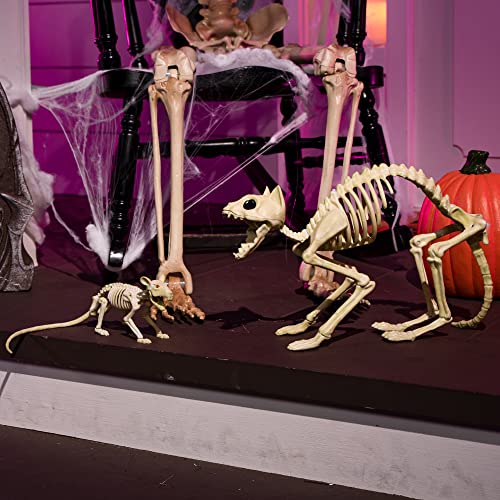 Halloween Skeleton Animal Decorations Set - Skeleton Cat and Mouse for Indoor Outdoor Parties