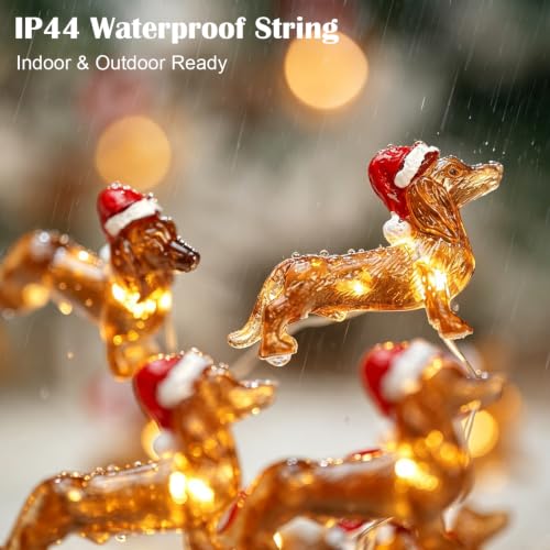 Dachshund Christmas String Lights 10ft 30 LEDs - Red White Brown Variations