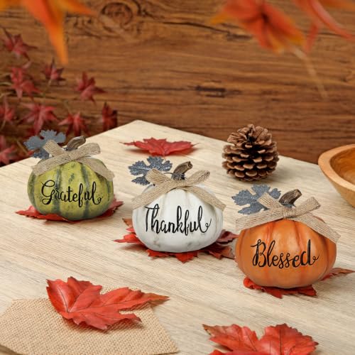 Fall Pumpkin Decor Set - 3 Mini Resin Pumpkins with 'Grateful', 'Thankful', 'Blessed' - Style 7