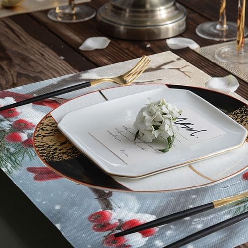 Winter Birds Placemat Set of 6 - Christmas Snow Poinsettia Berry Table Mats - 12x18 Inch, Washable & Fast Dry