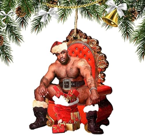 Funny Christmas Ornaments 2025 Wooden Holiday Tree Decorations Indoor & Outdoor