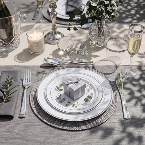 White and Silver Disposable Dinnerware Set for 50 Guests - 350 Pieces