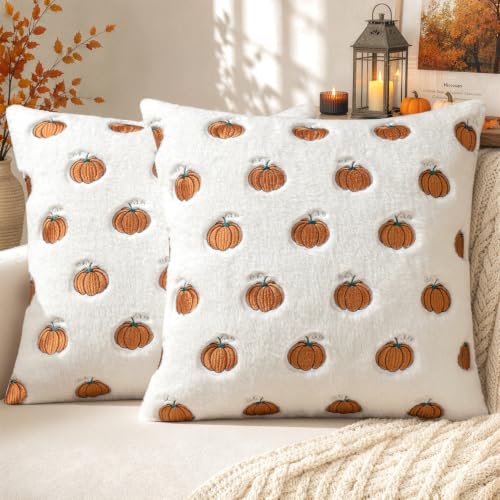 MIULEE Fall Pumpkin Embroidered Pillow Covers 18x18 - Rust & White, Pack of 2