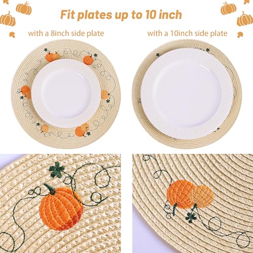 Orange & Beige Fall Round Placemats Set of 4 Pumpkin Embroidered Table Decor