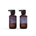 Theorie Purple Sage Travel Set - Brightening Shampoo & Conditioner Minis - Color Repair Formula | 90mL Bottles for Blonde & Highlighted Hair