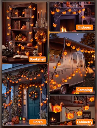 8.5FT Outdoor Thanksgiving Turkey String Lights - Waterproof, Plug-in, 10 LED Bulbs with Variation: Turkey Lights