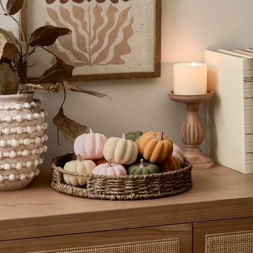 Mini Fall Pumpkin Decor Set - 12 Pastel Velvet Pumpkins with Variations Pink, Orange, Green & White