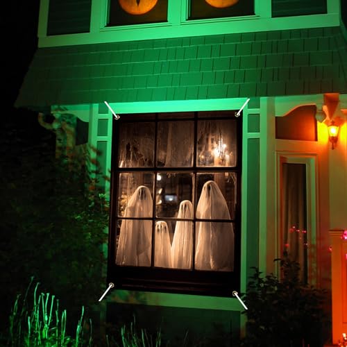 Halloween Window Cover Spooky Ghost Banner 31x47in - Variation Ph03429