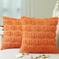 Autumn Pumpkin Faux Fur Pillow Cover Set - 18x18 Inch, Pack of 2, Fall Decor