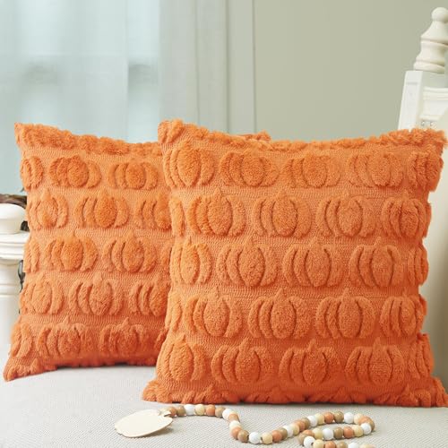 Autumn Pumpkin Faux Fur Pillow Cover Set - 18x18 Inch, Pack of 2, Fall Decor