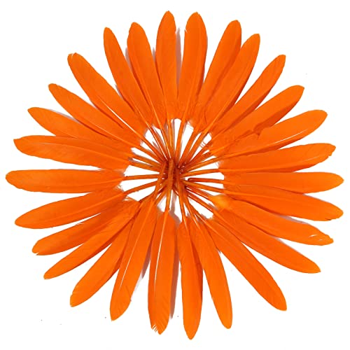 Orange Goose Cochettes Feather Bulk 120pcs 4-6 Inch for DIY Crafts & Decorations