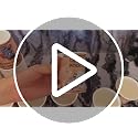 Halloween Disposable Paper Cups 48 Pack 9 oz Spooky Party Drinkware