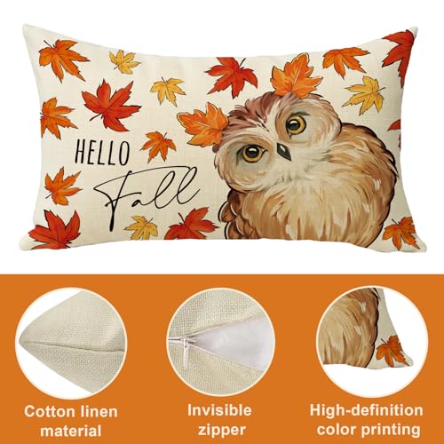 Fall Owl Bird Lumbar Throw Pillow Cover 12x20 - Autumn Decor Variation of THIS listing: Fall Owl / 20" x 12"