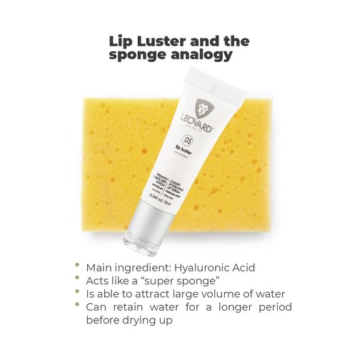Leovard Lip Luster Hyaluronic Acid Lip Balm - Organic Hydrating Treatment for Fuller, Plump Lips (1 Pack)