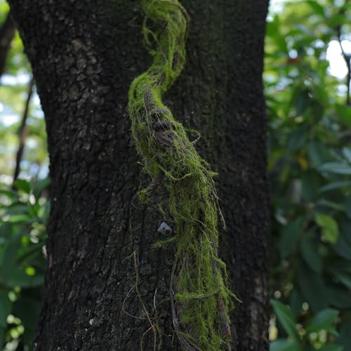 Artificial Tree Branches Garland - 5ft 11in Moss Vine for Decor & Landscaping