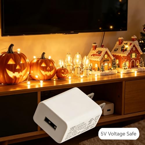 USB-Powered LED Christmas Village Lights with C7 Blow Molded Cord - 5 Bulbs