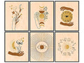Boho Wall Art - Sun Moon Stars Celestial Decor - Minimalist Mid Century Gift Set