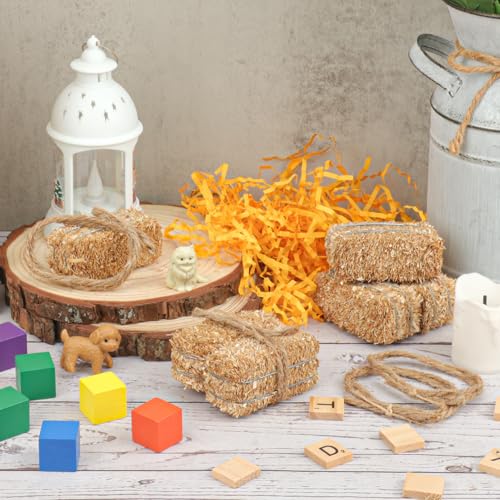 Mini Decorative Hay Bales & Twisted Hemp Rope Set for Fall Halloween Crafts & Rustic Decor